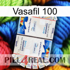 Vasafil 100 kamagra1